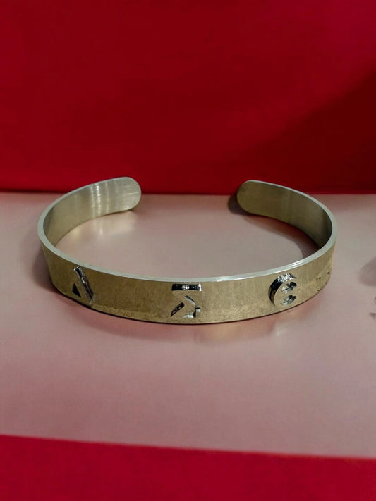 Delta Stainless Steel Wide Bangle
